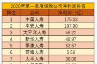 百年人寿保险排名第几？从多个角度为你解析这家公司的实力与地位