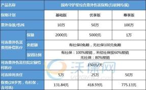 中国人寿意外险100元：保障全面，助您安心前行