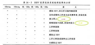 大三阳小三阳是什么：乙肝病毒的两种状态及临床意义