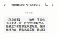 拍拍贷不还会怎么样：逾期后果详解与预防措施