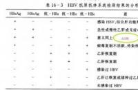 大三阳小三阳是什么：乙肝病毒的两种状态及临床意义