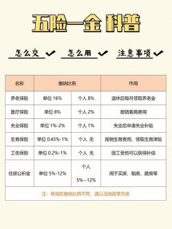 五险一金：员工福利与保障的核心内容