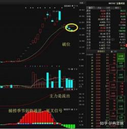 换手率30%意味着什么：解读股票交易活跃度和主力资金动向