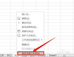 如何在Excel 2010中同时打开两个独立的工作表：操作指南