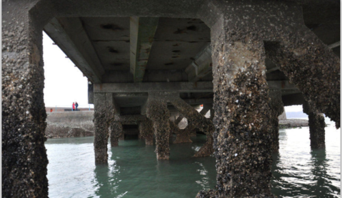 跨海大桥建造难度大的原因：海洋环境的强腐蚀性