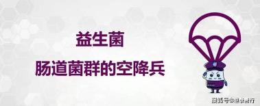 益生元：维护肠道健康，提升生命质量的神奇物质