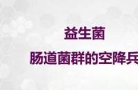 益生元：维护肠道健康，提升生命质量的神奇物质