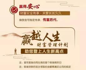 赢越人生条款详解：全面了解平安赢越人生的保险规定与保障范围