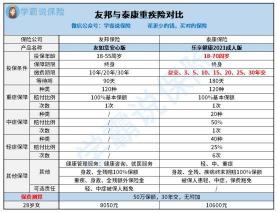 泰康人寿保险：健康保障产品的深度解析