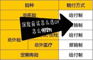 如何购买保险：从选择到定制，一文详解“划算又实用”的投保技巧