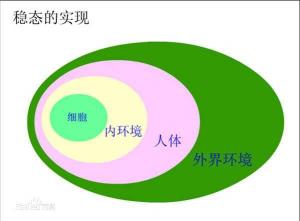 深成指B：清盘风险与溢价亏损的博弈