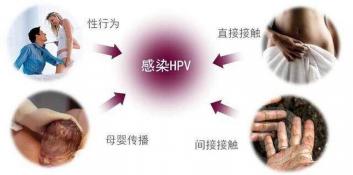 HPV病毒感染：了解、预防与传播