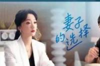 《妻子的选择》：婚姻危机中的女性成长与自我追求