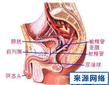 慢性附睾炎的症状：长期疼痛、阴囊不适及体征变化