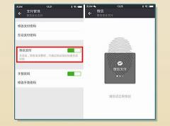 解决微信指纹支付消失的方法：简单步骤找回便捷支付