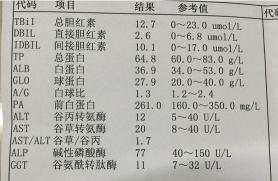 肝功异常：认识与应对，守护您的肝脏健康