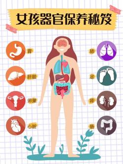 全面了解身体状况：进行身体检查的重要性与常见方法