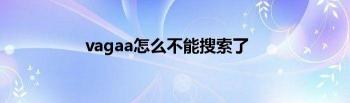 Vagaa搜索问题：搜索不到资源的解决方法