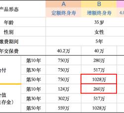 平安鑫盛17详细介绍：终身寿险的全面保障与投资潜力