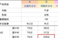 平安鑫盛17详细介绍：终身寿险的全面保障与投资潜力