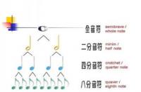 掌握音乐节拍：从基础到高级的完全指南