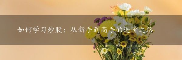 如何学习炒股：从新手到高手的进阶之路