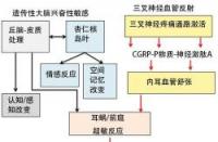 瞳孔放大片：生理性变化还是疾病信号？一文解读！