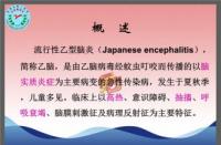 流行性乙型脑炎：症状识别与应对策略