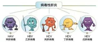 丙肝的危害：了解并预防这一严重肝炎