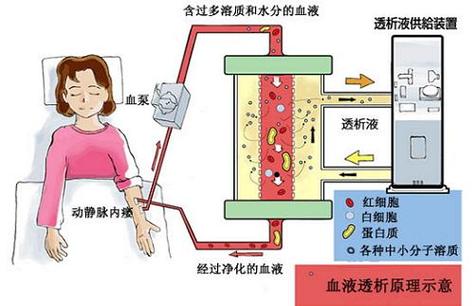 电解质水怎么样？了解它的好处与风险