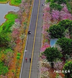 花都湖：城市绿洲展现水利与环境和谐之美