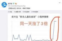 支付宝新生儿重名查询系统：为宝宝取名保驾护航