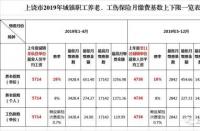 社保缴纳比例：职工与个人参保的明细解析，保障您的权益