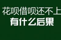 花呗借呗5万逾期两年：后果、影响及应对策略