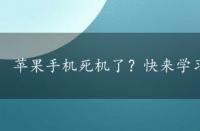 苹果手机死机了？快来学习强制重启的救急方法