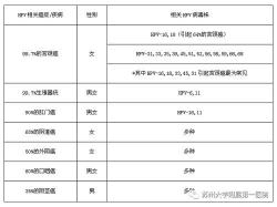 CT值高低：HPV感染程度的风向标