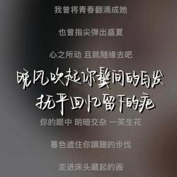 《跳舞街》：歌词里的秘密与粤语中的幽默智慧