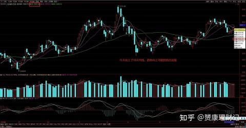 基金会不会跌没了：深入解析基金投资的风险与机会