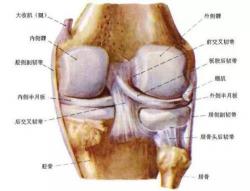 膝盖酸痛治疗全攻略：从肌肉损伤到风湿性关节炎，一篇看懂！