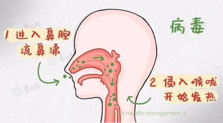 新冠慢慢自愈的迹象：从发热到咳嗽，了解身体如何战胜病毒