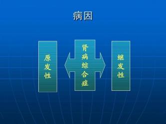 肾综解析：认识肾病综合征及其四大特点