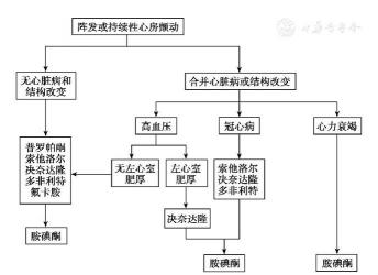 安诺玛丽莎解析：心脏早搏的认识、应对与治疗方法