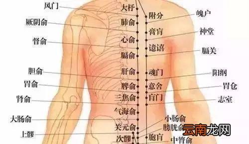 左下腹部疼痛的原因：揭秘疼痛背后的四大元凶