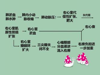 二尖瓣狭窄咯血：原因解析与应对措施