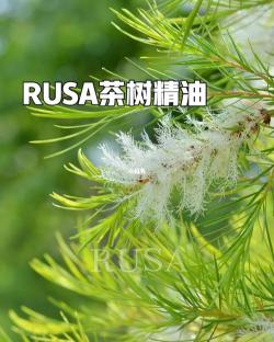 茶树精油祛痘全攻略：四种方法让你告别痘痘烦恼