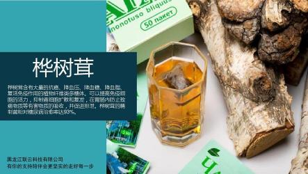 桦树茸：天然调节免疫与血糖的神奇小助手