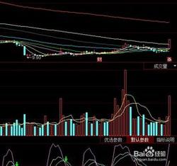 股票停牌规则解析：新股与异常交易的处理方式