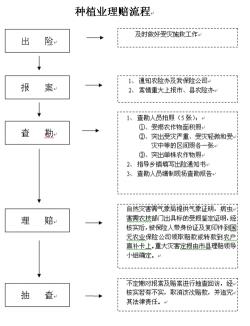 自己开车刮蹭怎么理赔：车损险报案与赔付流程详解