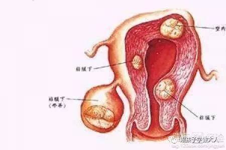 怀孕的症状：如何及早发现身体的新变化？