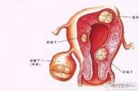 怀孕的症状：如何及早发现身体的新变化？